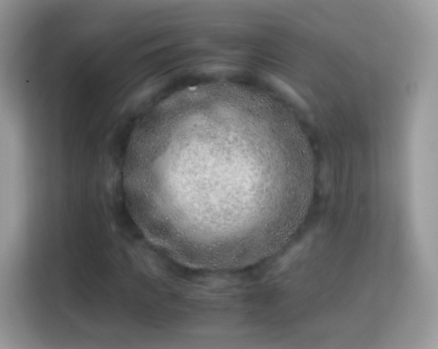 X0000114010917200910091420