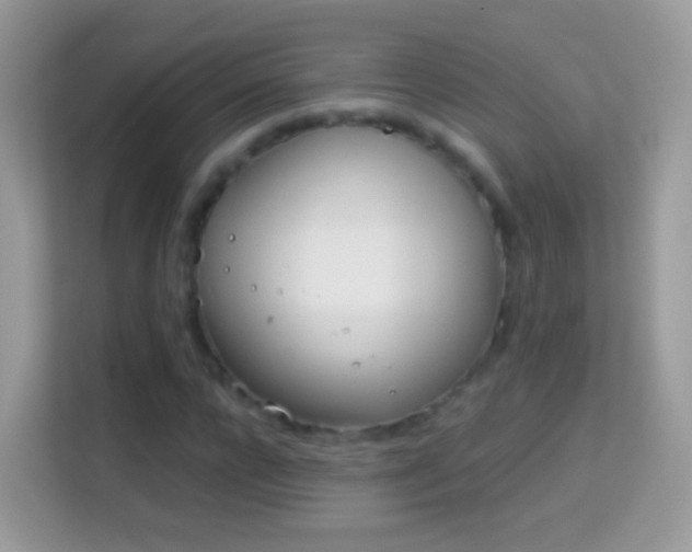 X0000114010920200910091420