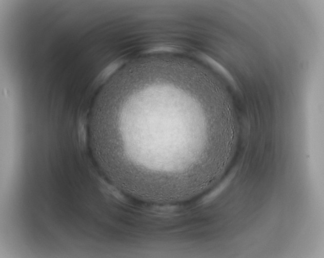X0000114010921200910091420