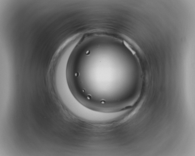 X0000114010925200910091420