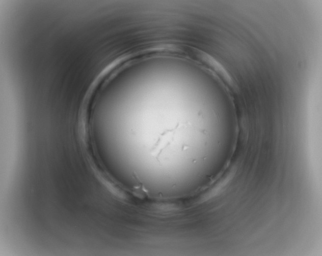 X0000114010931200910091421
