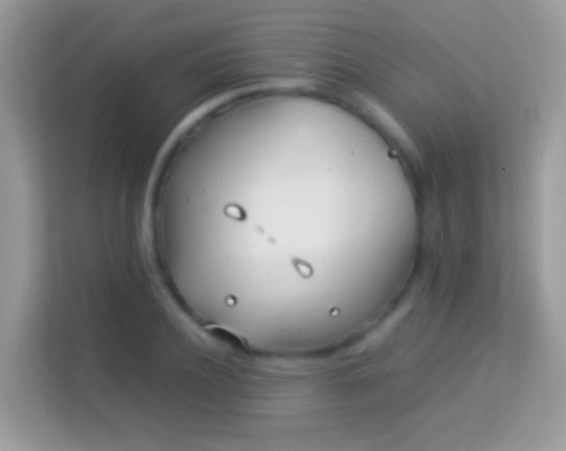 X0000114010932200910091421
