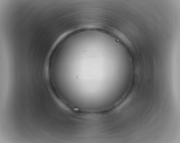 X0000114010934200910091421