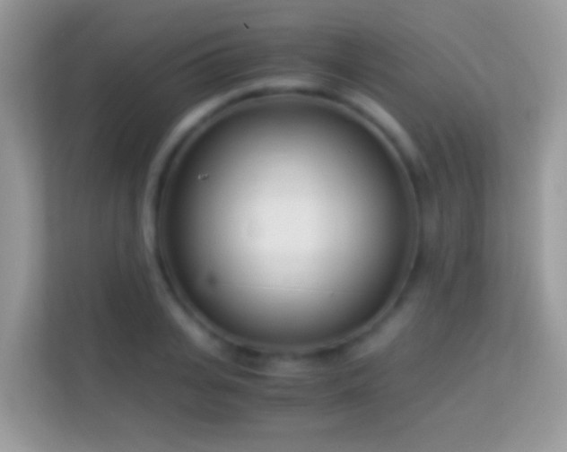 X0000114010935200910091421