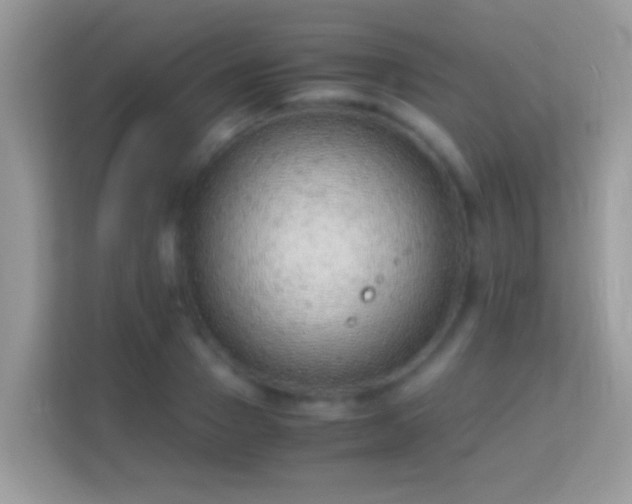 X0000114010937200910091421