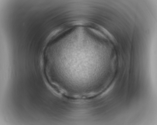 X0000114010938200910091421