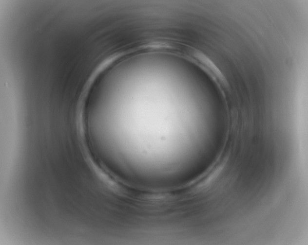 X0000114010939200910091421
