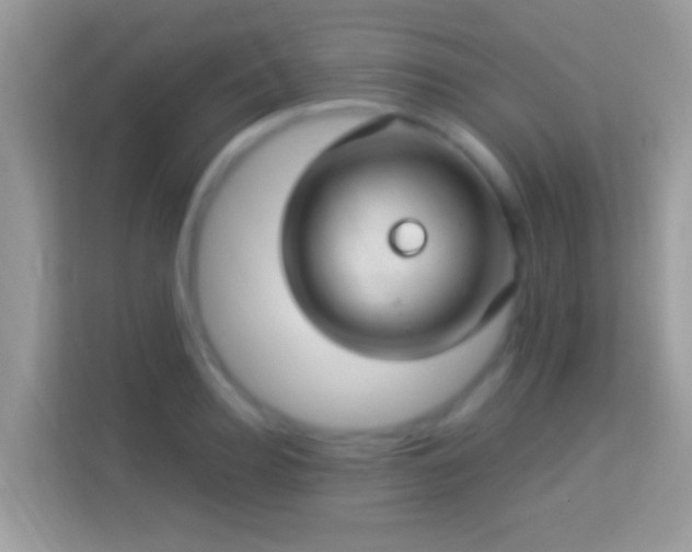 X0000114010940200910091421