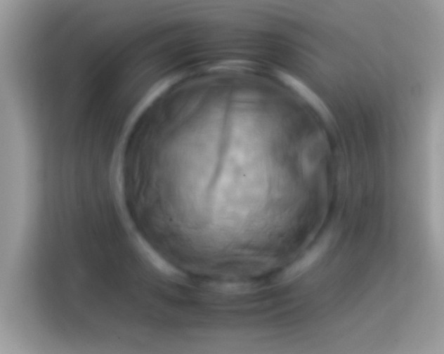 X0000114010941200910091421