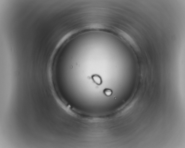X0000114010942200910091421