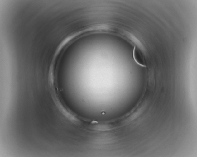X0000114010944200910091421