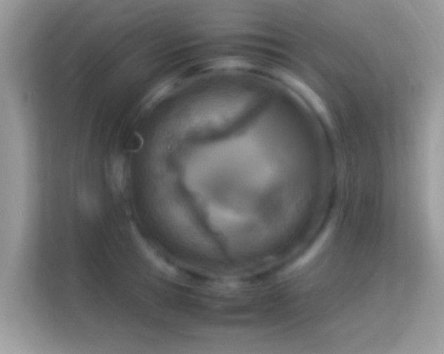 X0000114010945200910091421