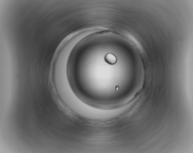 X0000114010948200910091421