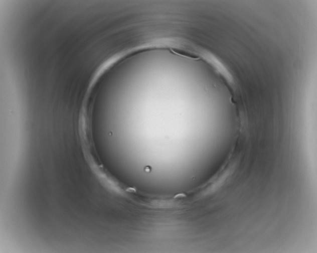 X0000114010952200910091421