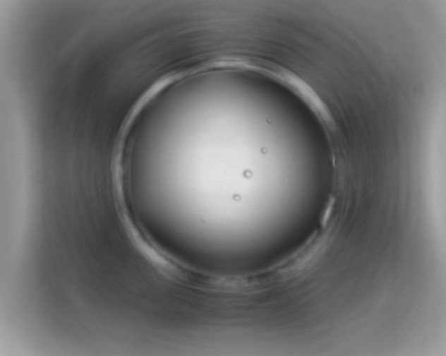 X0000114010955200910091421