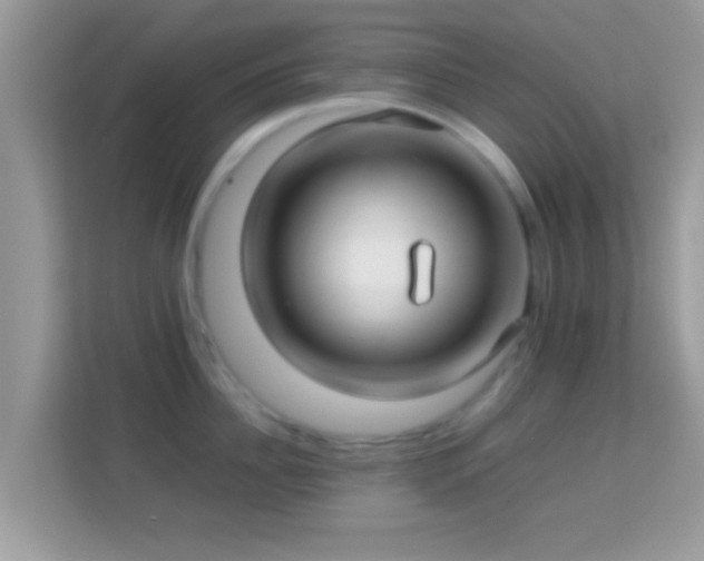 X0000114010956200910091421