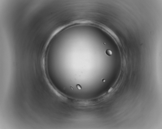 X0000114010959200910091421