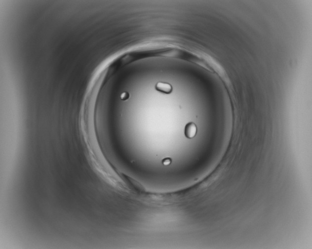 X0000114010960200910091421