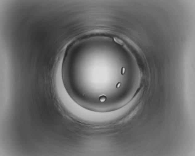 X0000114010969200910091420