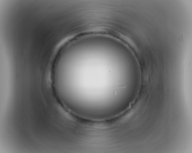 X0000114010979200910091420