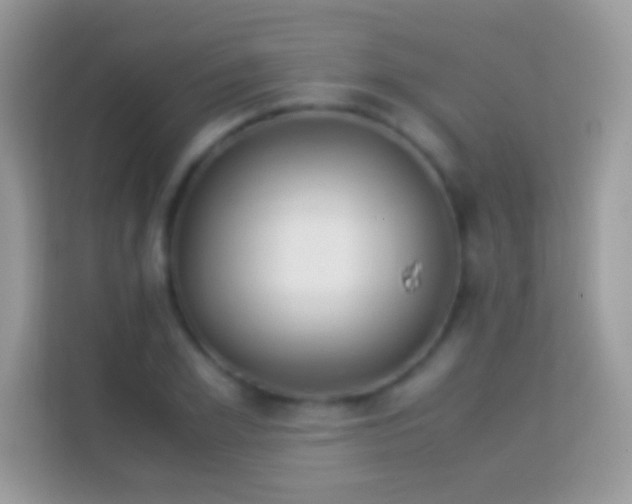 X0000114010981200910091420
