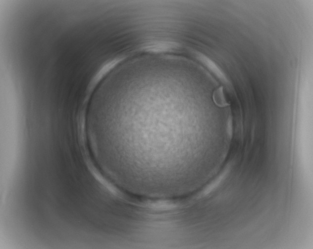X0000114010986200910091420
