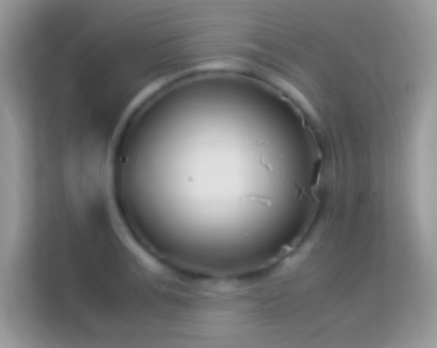 X0000114010991200910091420