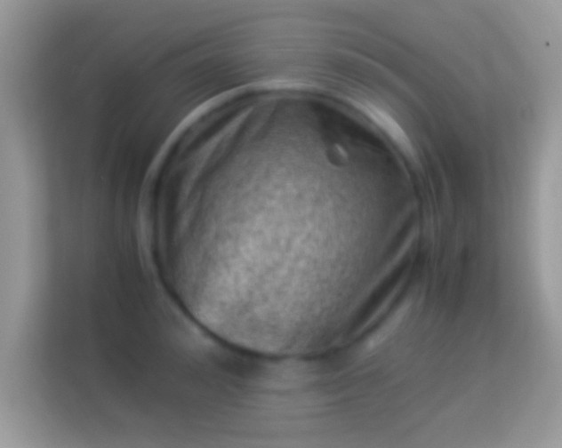 X0000114010992200910091420