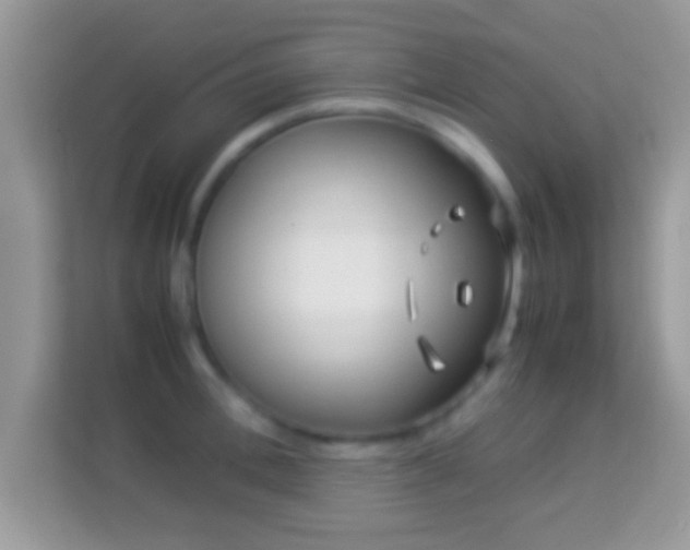 X0000114010996200910091420