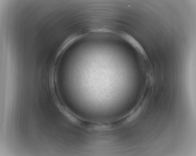 X0000114011002200910091420
