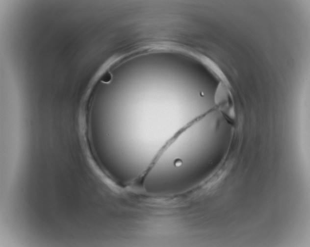 X0000114011005200910091420