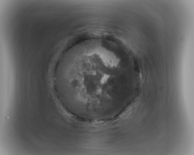 X0000114011009200910091419