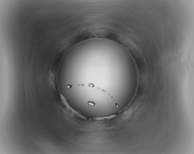 X0000114011010200910091419