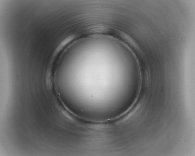 X0000114011018200910091419