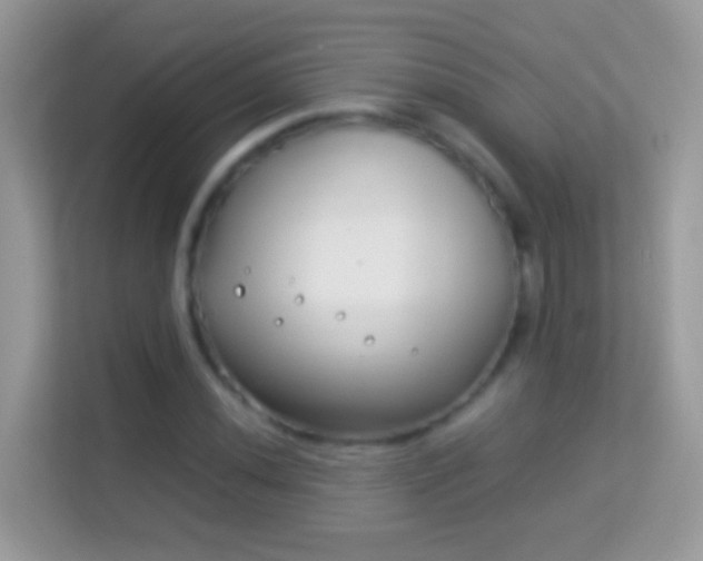 X0000114011020200910091419