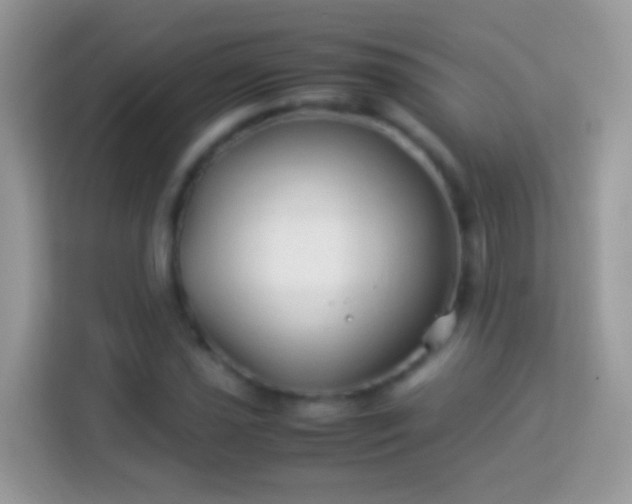 X0000114011021200910091419