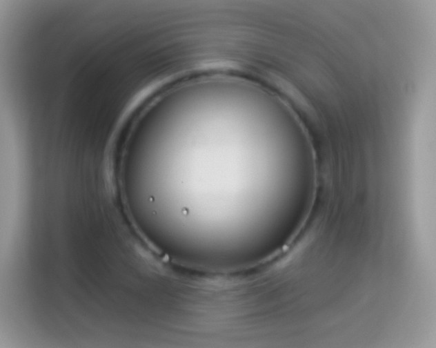 X0000114011022200910091419
