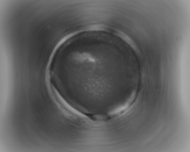 X0000114011024200910091419
