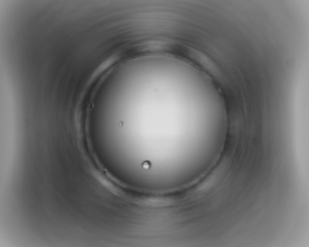 X0000114011026200910091419
