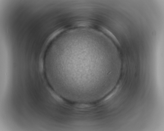X0000114011027200910091419