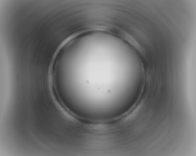 X0000114011028200910091419
