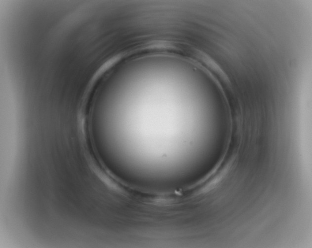 X0000114011029200910091419