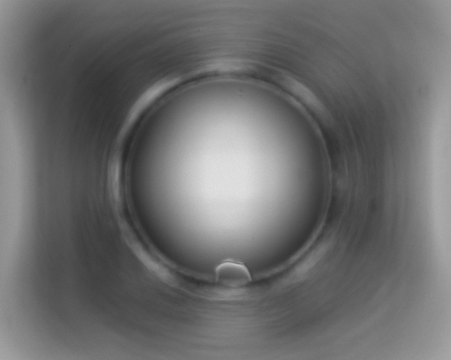 X0000114011030200910091419