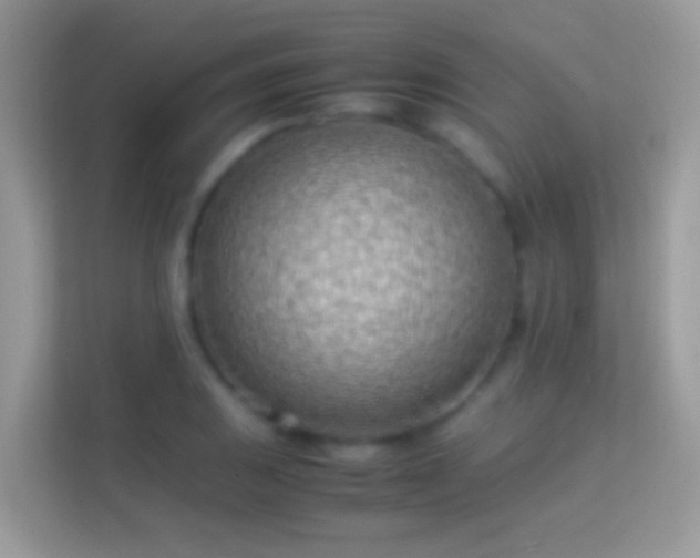 X0000114011031200910091419