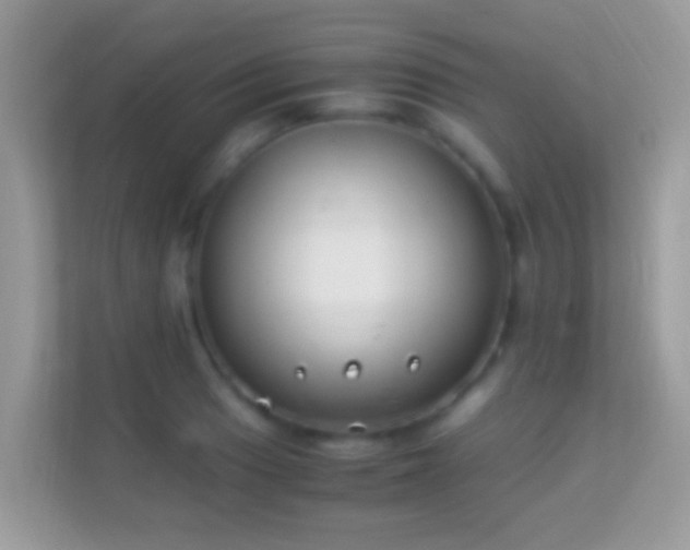 X0000114011033200910091419