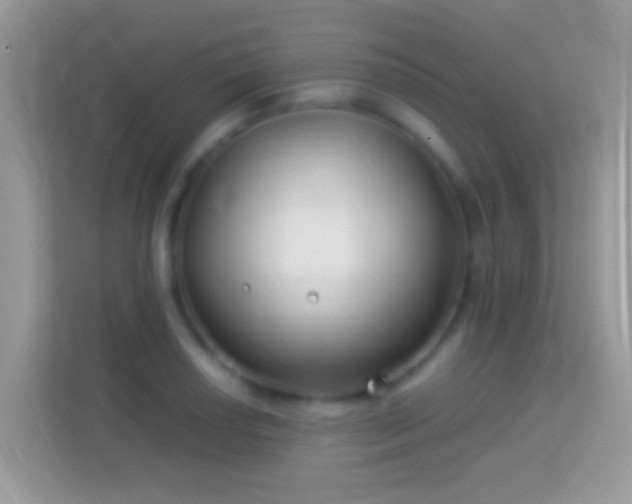 X0000114011034200910091419