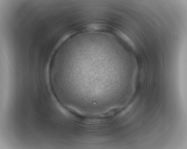 X0000114011039200910091419