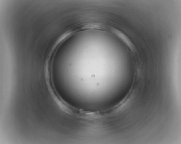 X0000114011050200910091420