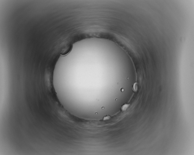 X0000114011060200910091419
