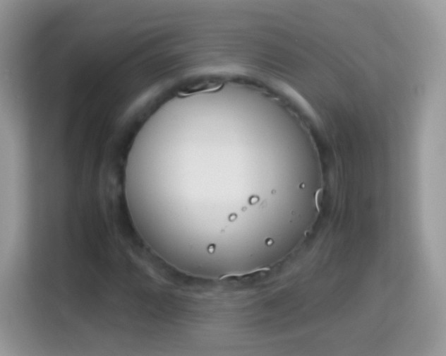 X0000114011064200910091419